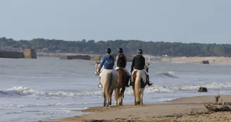 Educ'Horse