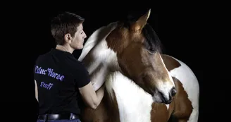 Educ'Horse