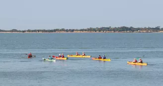 Location de kayak et Stand Up Paddle