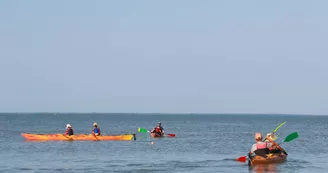 Location de kayak et Stand Up Paddle