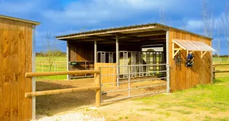 Haras de l'Ilatte