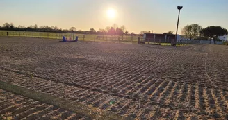 Haras de l'Ilatte