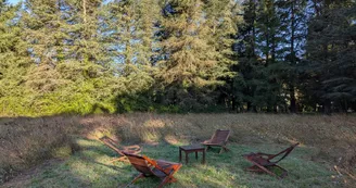 Le Bois des Fées