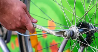 Cycles Braquet et Pignon Cycles Braquet et Pignon