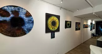 Eyemazy La Rochelle
