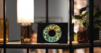 Eyemazy La Rochelle