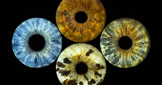 Eyemazy La Rochelle