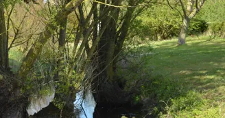 Gîtes Les 2 Fontaines - Gîte Panda Gîtes Les 2 Fontaines - Gîte Panda