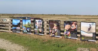 Espace d'accueil et muséographique de la réserve naturelle de Moëze-Oléron Espace d'accueil et muséographique de la réserve naturelle de Moëze-Oléron