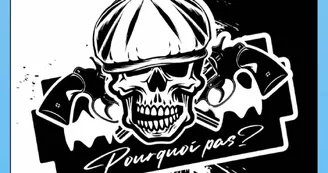 Pourquoi Pas?
