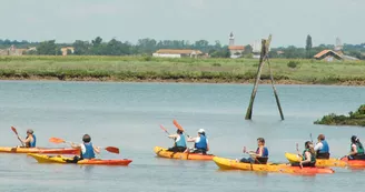 Les Détours sur l'eau : Dans l'intimité des marais - Kayak & Nature en Seudre Les Détours sur l'eau : Dans l'intimité des marais - Kayak & Nature en Seudre