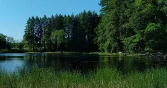 Les Etangs de Montrollet Les Etangs de Montrollet