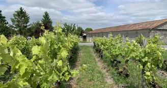 Cognac Légier Cognac Légier
