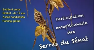 6ème Exposition Internationale Orchidée 17 6ème Exposition Internationale Orchidée 17
