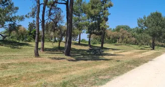 Aire de pique nique - Route du Douhet Aire de pique nique - Route du Douhet