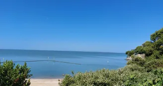 Villa Tamaris