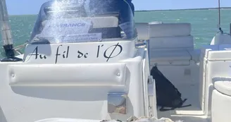 Au Fil de l'Ø