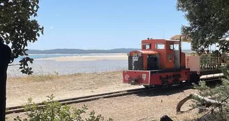 Chasse aux trésors ONF - Les secrets des palissades - Saint-trojan-les-Bains Chasse aux trésors ONF - Les secrets des palissades - Saint-trojan-les-Bains