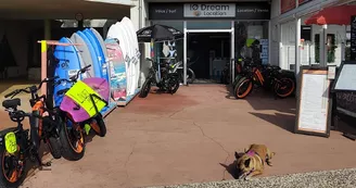 IO Dream Location - Location de vélos électriques et matériel de surf IO Dream Location - Location de vélos électriques et matériel de surf