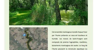 Les Marais de St Fraigne Les Marais de St Fraigne