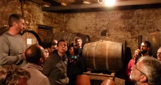 vignoble Chauraud et fils vignoble Chauraud et fils