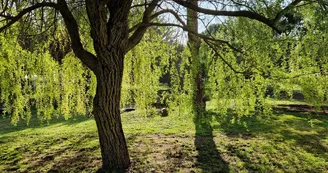 Domaine La Cabane