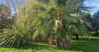 Domaine La Cabane
