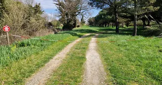 Domaine La Cabane