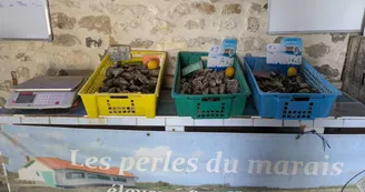 Les Perles du Marais - Point de vente Les Perles du Marais - Point de vente