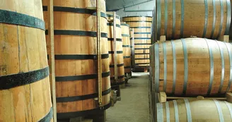 Vignoble Maxime PINARD Vignoble Maxime PINARD