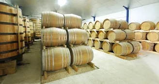 Vignoble Maxime PINARD Vignoble Maxime PINARD