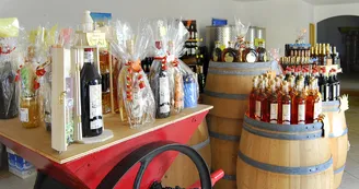 Vignoble Maxime PINARD Vignoble Maxime PINARD