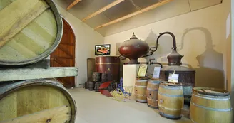 Vignoble Maxime PINARD Vignoble Maxime PINARD