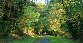 La forêt de la Double Saintongeaise