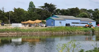 Les Marais de la Brande