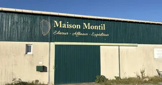 Maison Montil - Dégustation « Chez Léone » Maison Montil - Dégustation « Chez Léone »