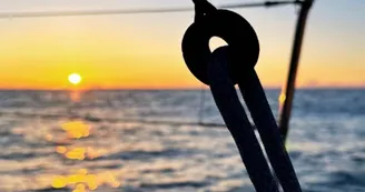 Skip & Sea Skip & Sea