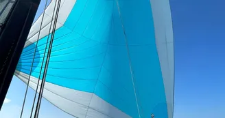 Skip & Sea Skip & Sea