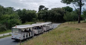 Le petit train des plages de Boyardville Le petit train des plages de Boyardville