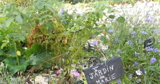Jardin médiéval de la Sagesse - Amis de Jonzac