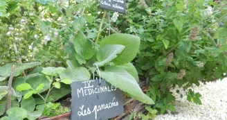 Jardin médiéval de la Sagesse - Amis de Jonzac