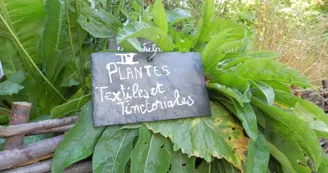 Jardin médiéval de la Sagesse - Amis de Jonzac