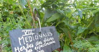Jardin médiéval de la Sagesse - Amis de Jonzac
