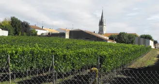 Le Domaine du Bourg