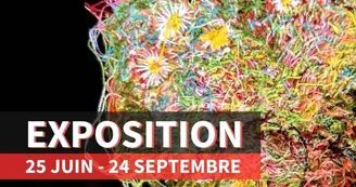 Exposition - TRAME(S) - Hélène Lamarche et Sophie Grenaud