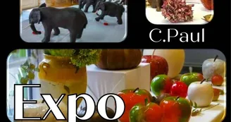 Exposition | Sculptures de terre cuite de C. Paul