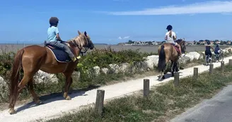 Balades à cheval Balades à cheval