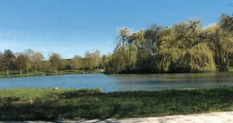 Aire de l'Etang des Rosées : aire de fitness et terrain de pétanque Aire de l'Etang des Rosées : aire de fitness et terrain de pétanque