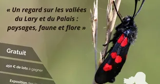 Natur'art Lary  2026