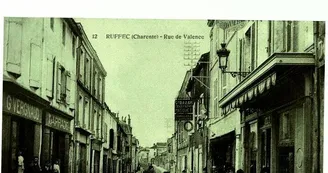 Exposition Exposition